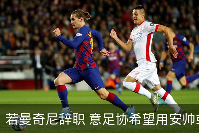 若曼奇尼辞职 意足协希望用安帅或卡纳瓦罗替代