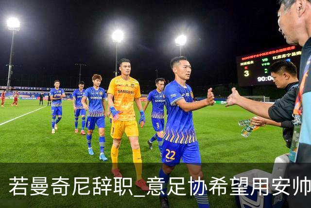 若曼奇尼辞职 意足协希望用安帅或卡纳瓦罗替代